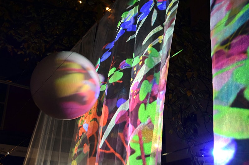 上昇と下降 at ナイトピクニック