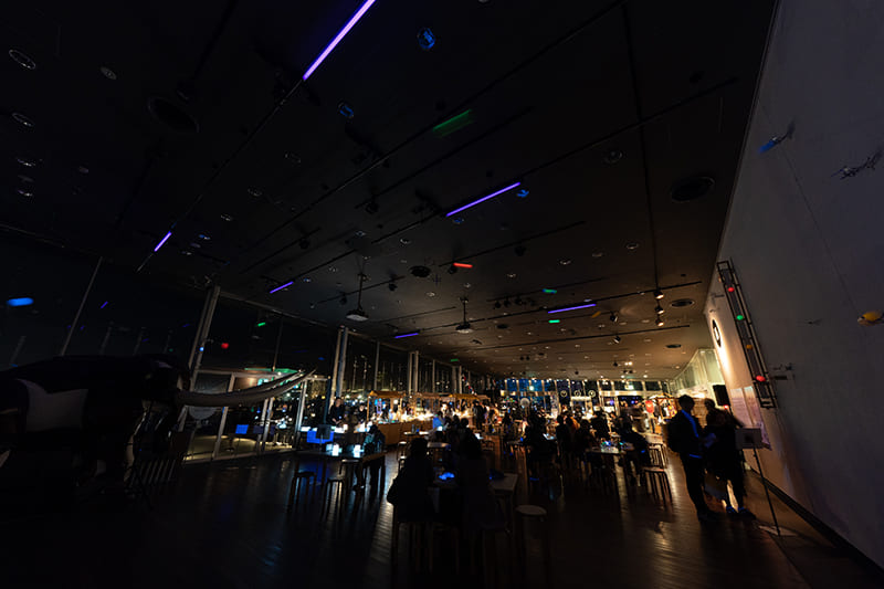 上昇と下降 -リフレクション-