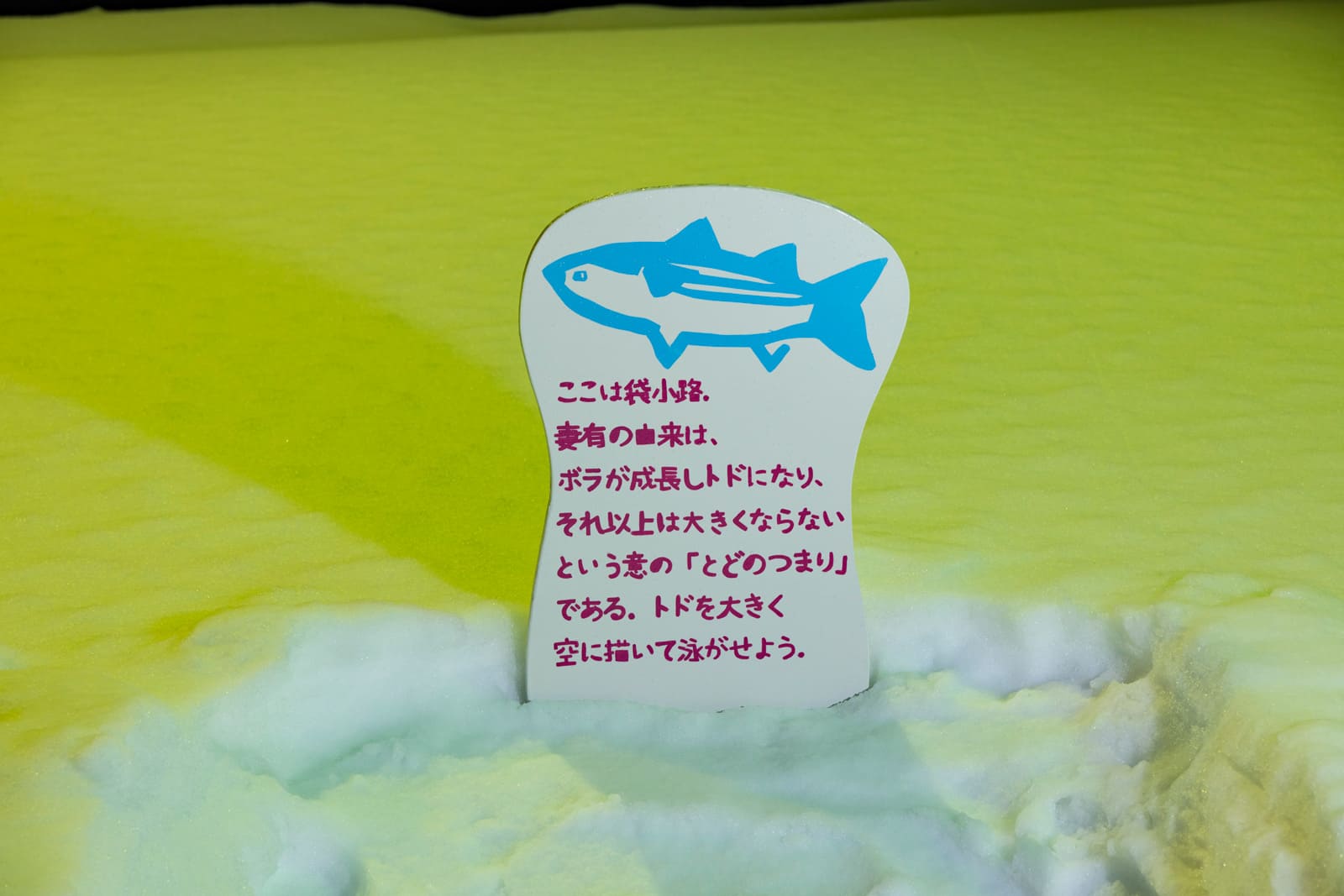 雪の阿弥陀渡り
