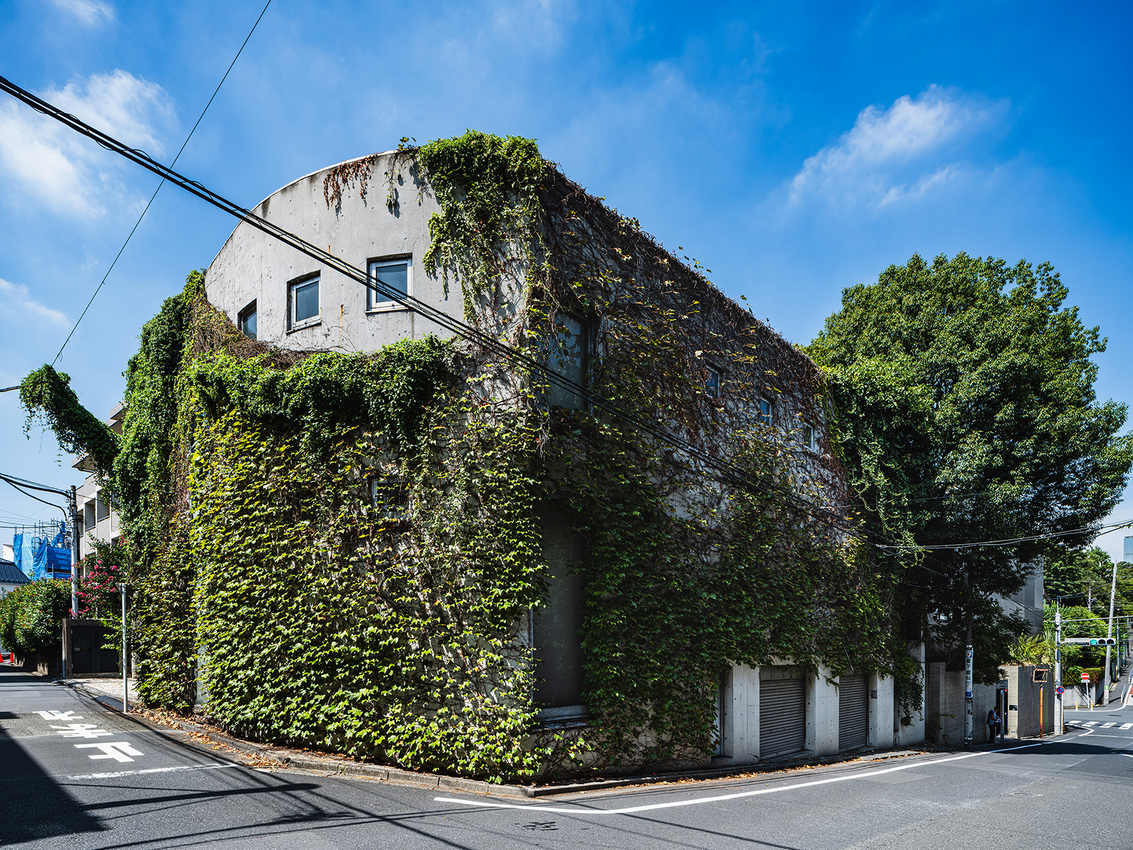 森の空白を満たす